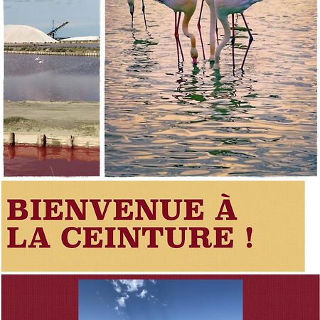 Hotel Restaurant La Ceinture Vauvert Ngoại thất bức ảnh